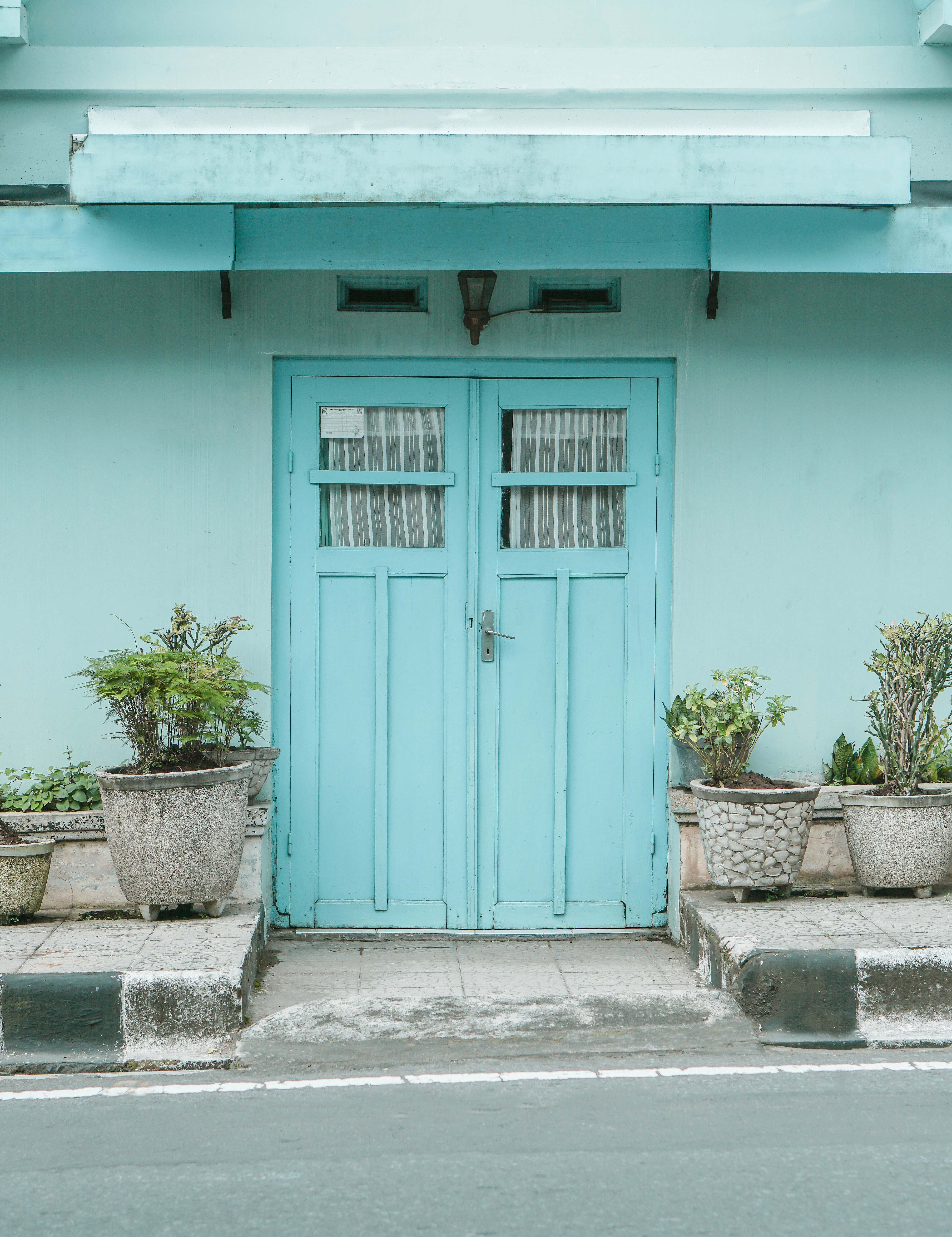 Blue Color Blue Wooden Door Beside Green Potted Plant Image Free Photo